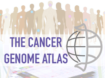 The Cancer Genome Atlas (TCGA)